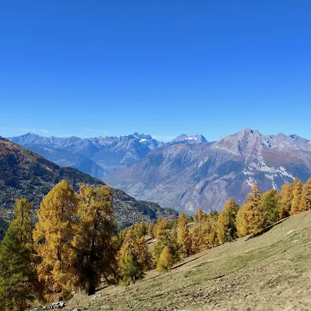 Charming With Valley-view Apartament Nendaz